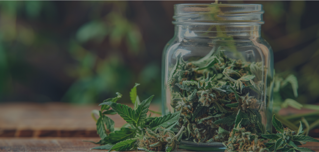 GSNG dispensary cannabis jar with premium flower buds Kingston NJ - Garden State Natural Green near Princeton New Brunswick