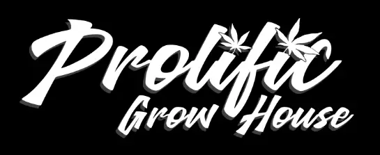 Prolific Grow House cannabis pre-rolls logo white script on black - Shop pre-rolls at GSNG dispensary Kingston NJ near Princeton New Brunswick